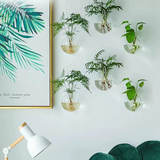 2/4/6/8 Pack Wall Hanging Glass Terrari2um - Self-Watering Hydroponic Planter for Home Office Decor, Handmade Round Crystal Vase